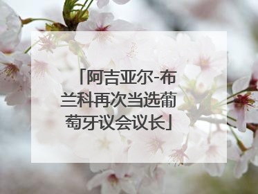 阿吉亚尔-布兰科再次当选葡萄牙议会议长